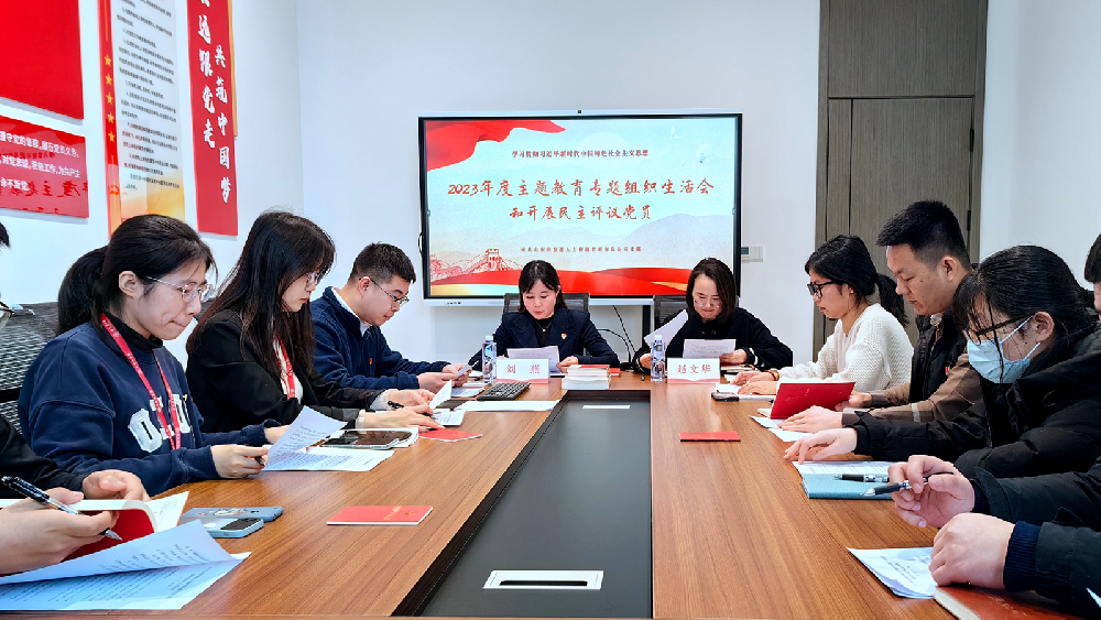 2023年度主题教育专题组织生活会和开展民主评议党员