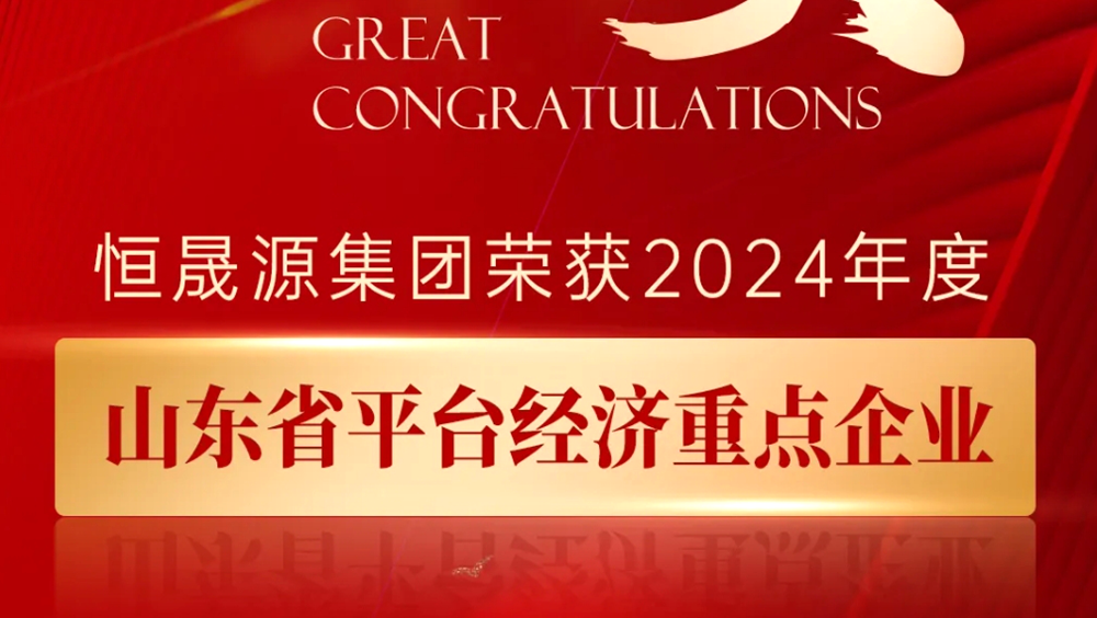 行业唯一!热烈祝贺恒晟源获评2024年山东省平台经济重点企业!