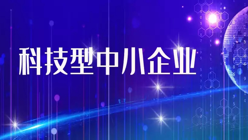 再度蝉联国家级科技型中小企业!