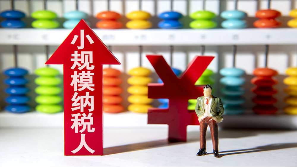 国家税务总局：小规模纳税人减免增值税政策热点问题解答