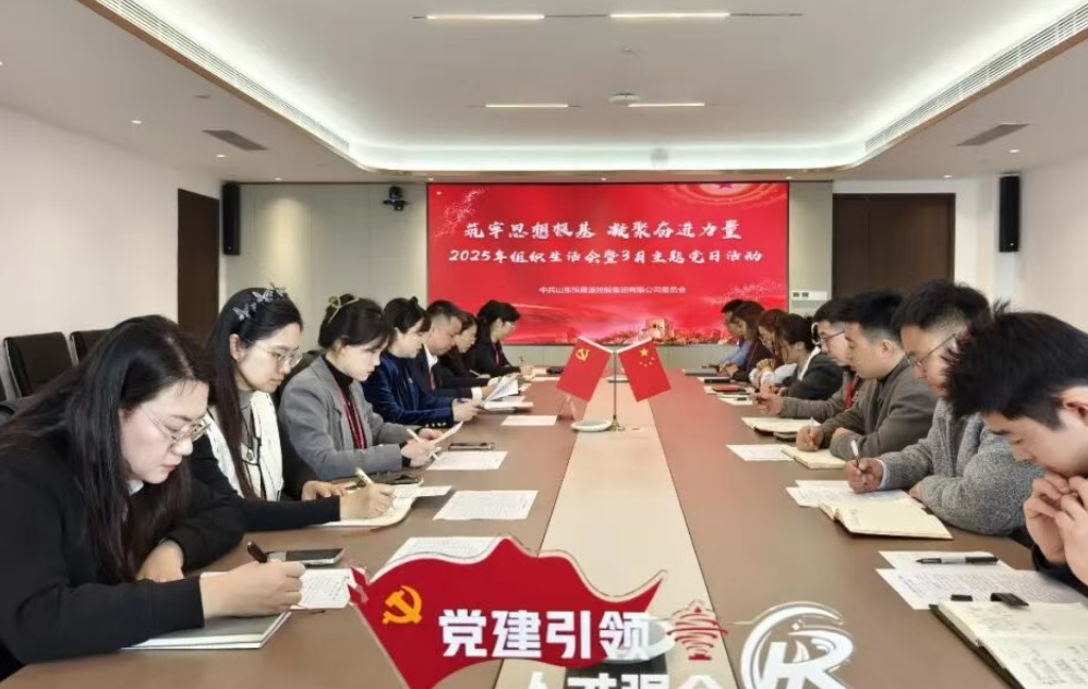 恒晟源集团党委开展三月份“主题党日+”活动