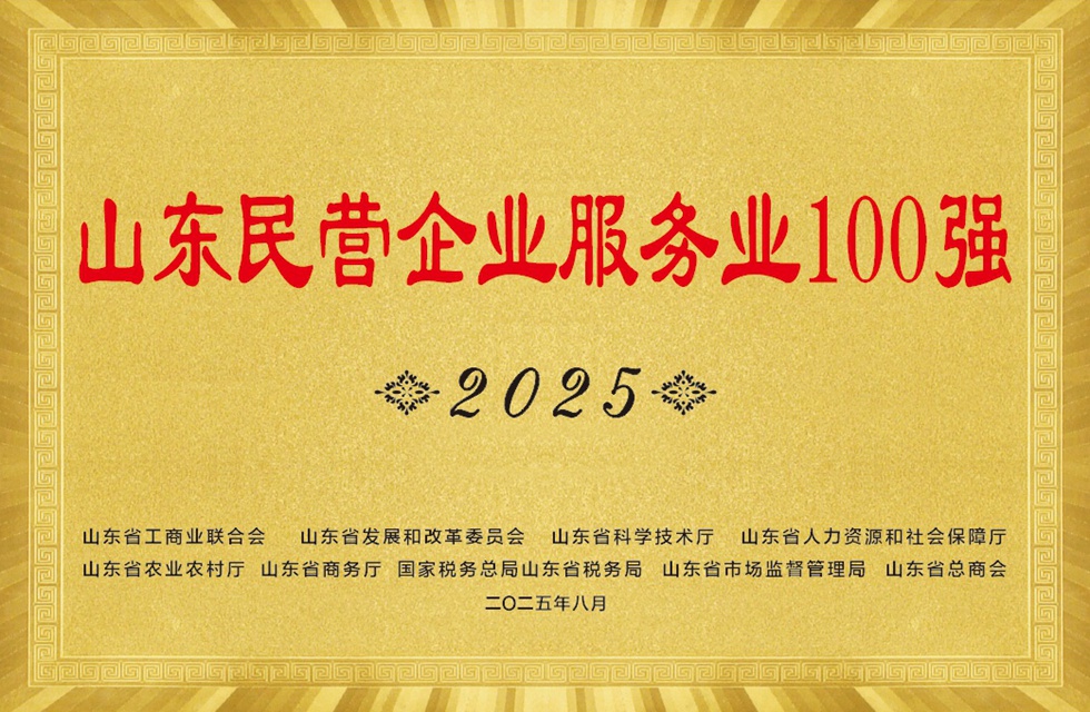 山东省民营企业服务业100强