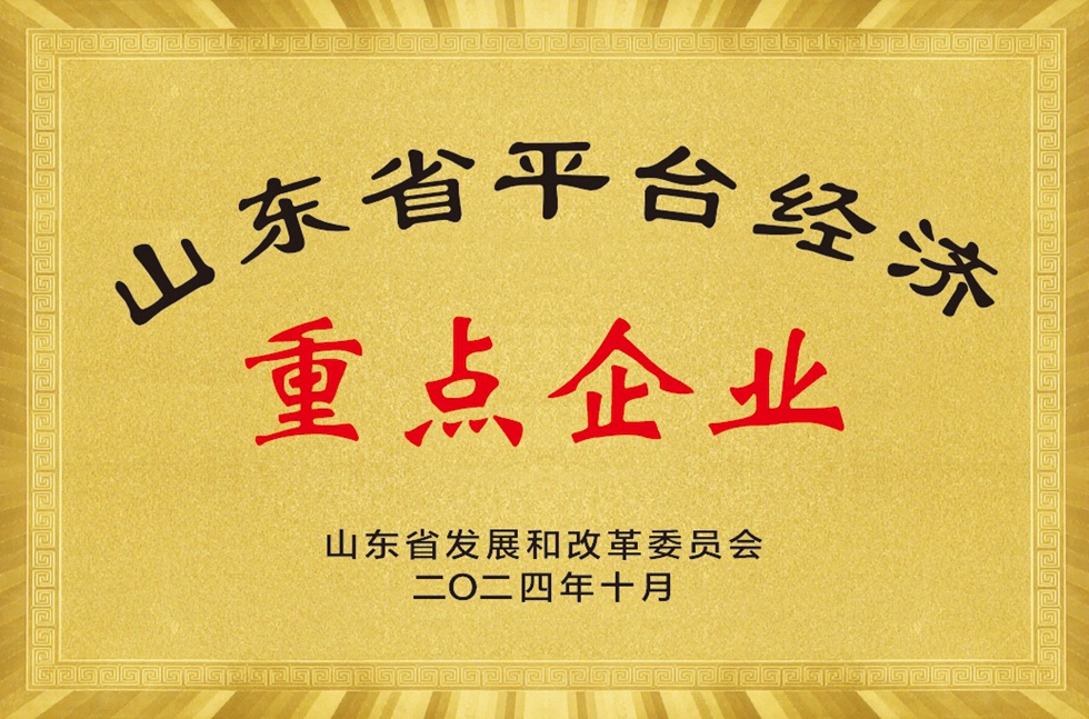 山东省平台经济重点企业