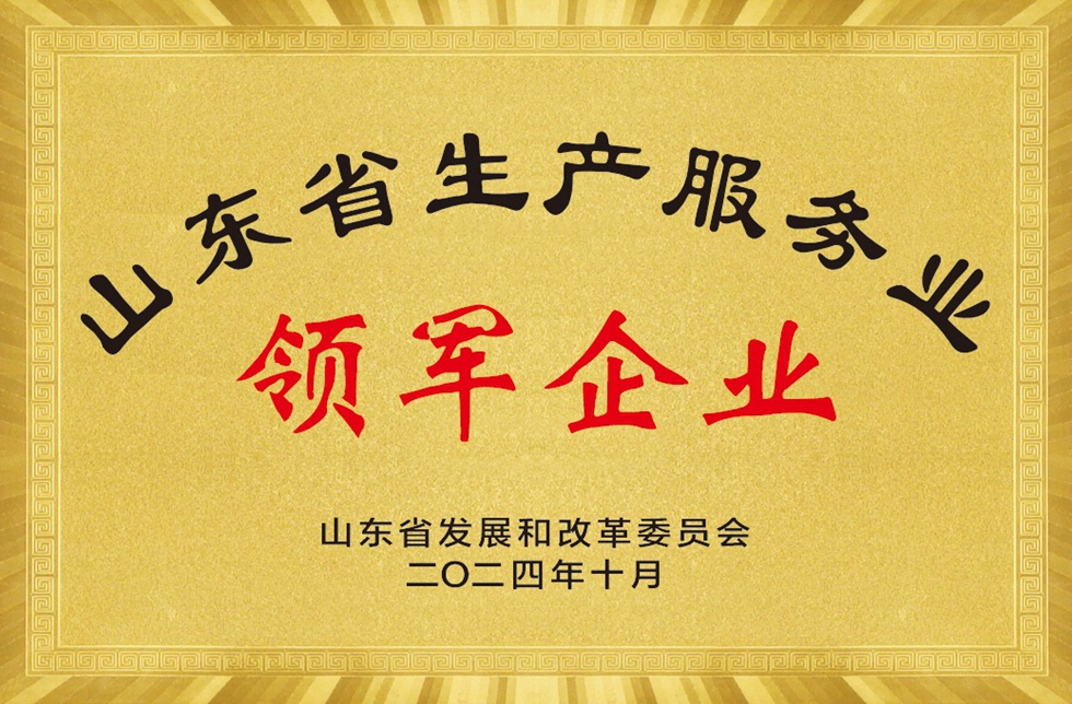 山东省生产性服务业领军企业