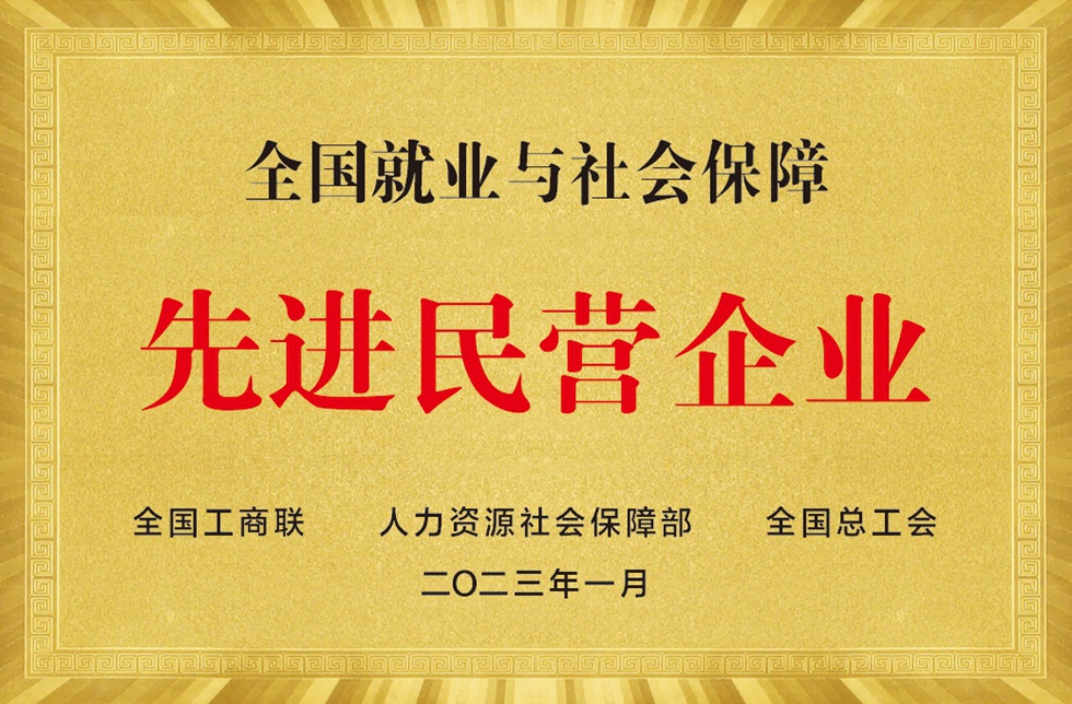 全国就业与社会保障先进民营企业
