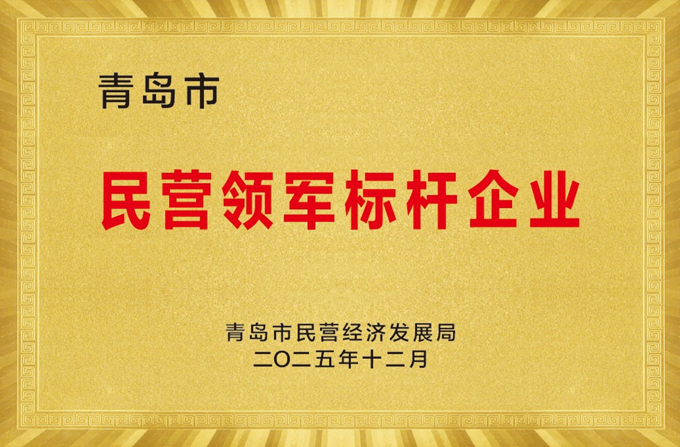 青岛市民营领军标杆企业